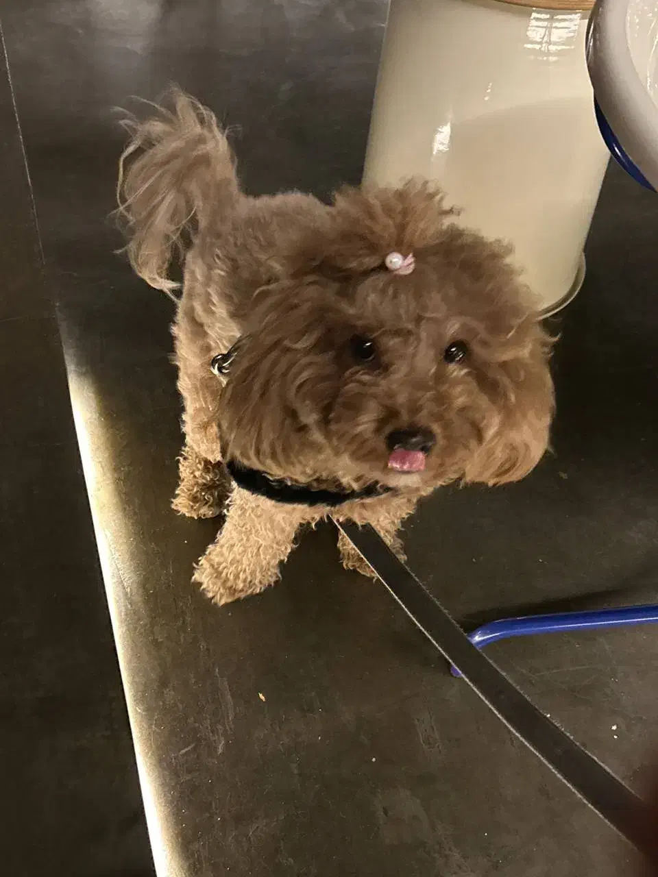 نظافت چی خانم با جای خواب|استخدام سرایداری و نظافت|تهران, الهیه|دیوار