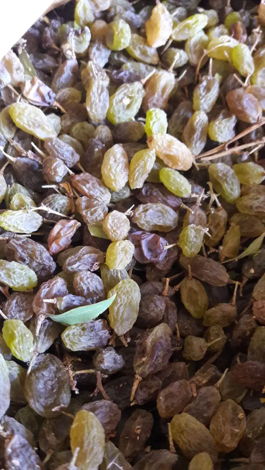 سایه خشک و شیره به شرط تست|خوردنی و آشامیدنی|زند, |دیوار