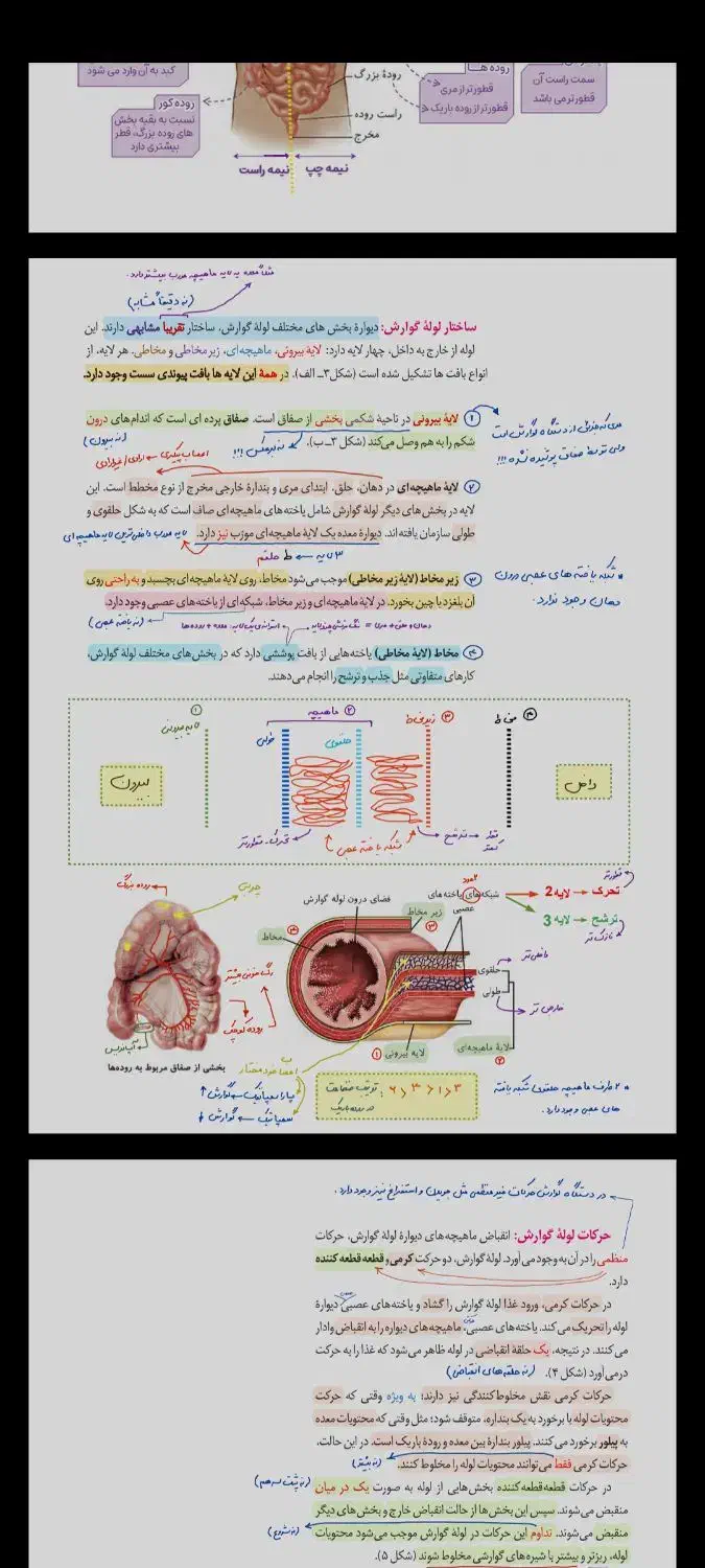 تدریس زیست تضمینی کنکور و نهایی|خدمات آموزشی|شیراز, انجیر|دیوار