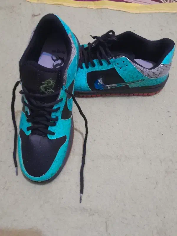 کفش|کیف، کفش، کمربند|دهدشت, |دیوار