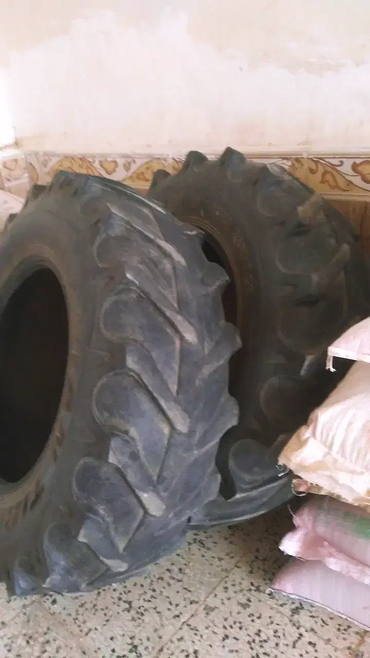 لاستیک تراکتور 399|قطعات یدکی و لوازم جانبی|گلی داغ, |دیوار