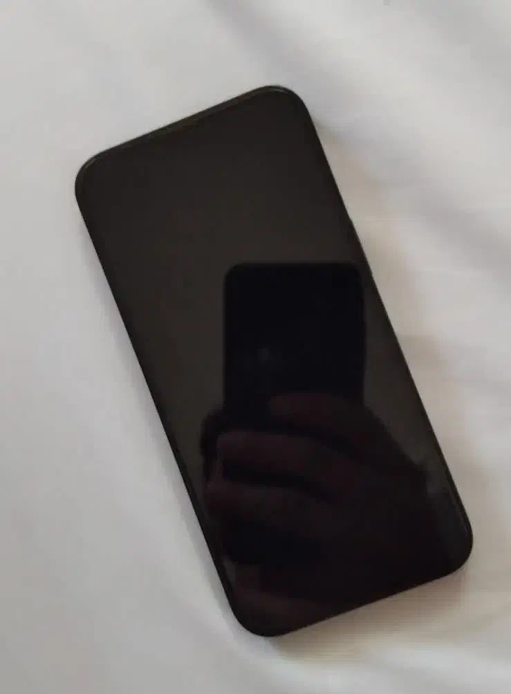 آیفون 13|موبایل|یزد, |دیوار