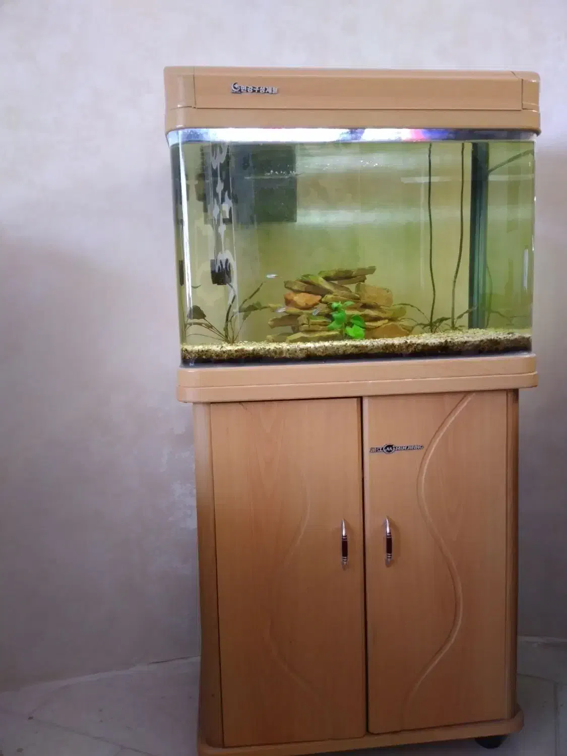 آکواریوم شرکتی ماهیران بهمراه میز شرکتی|ماهی|تبریز, |دیوار