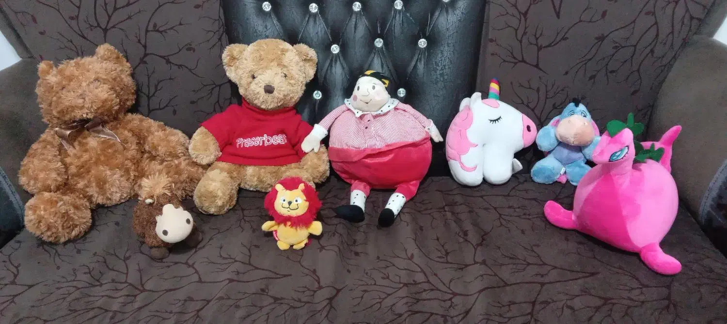 تدی موزیکالی|کلکسیون و سرگرمی|مهاباد (آذربایجان غربی), |دیوار