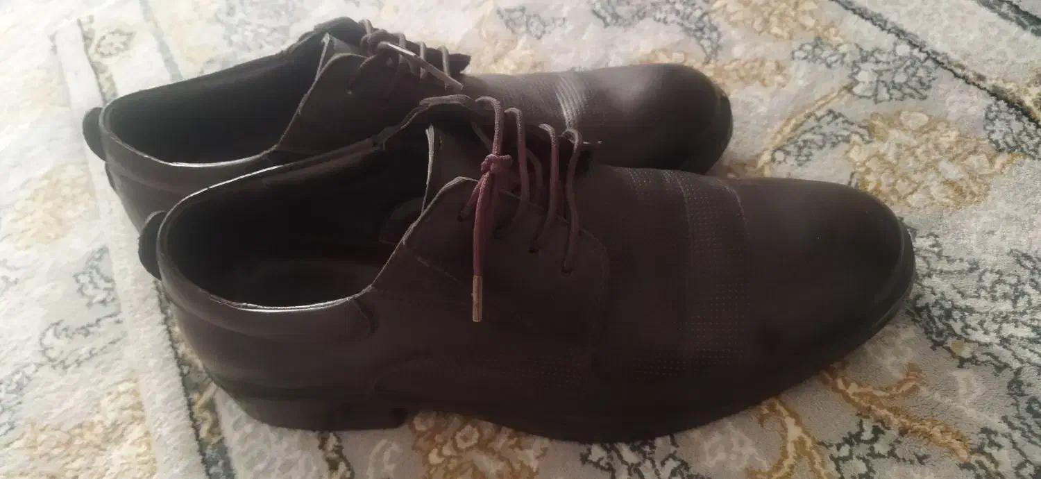 کفش مردانه|کیف، کفش، کمربند|ساوه, |دیوار