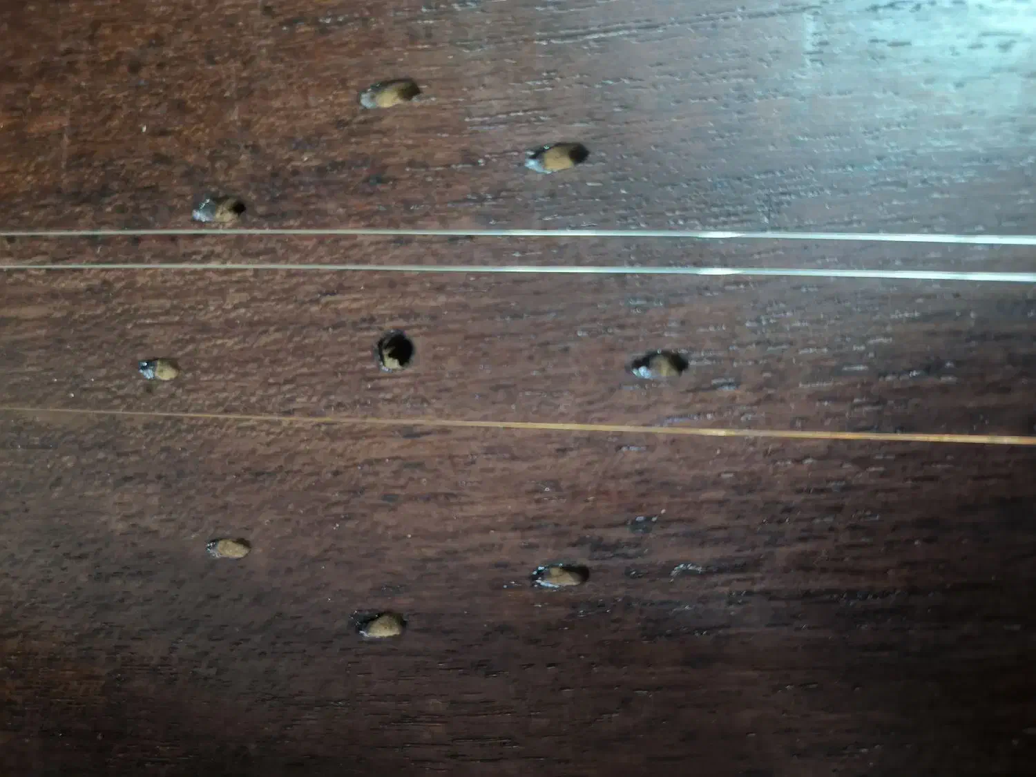 تنبور استاد قادر قدیمی|سازهای سنتی|تهران, فاطمی|دیوار