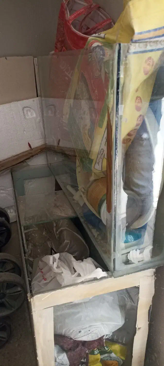 آکواریوم|ماهی|فولادشهر, مسکن مهر فولادشهر|دیوار