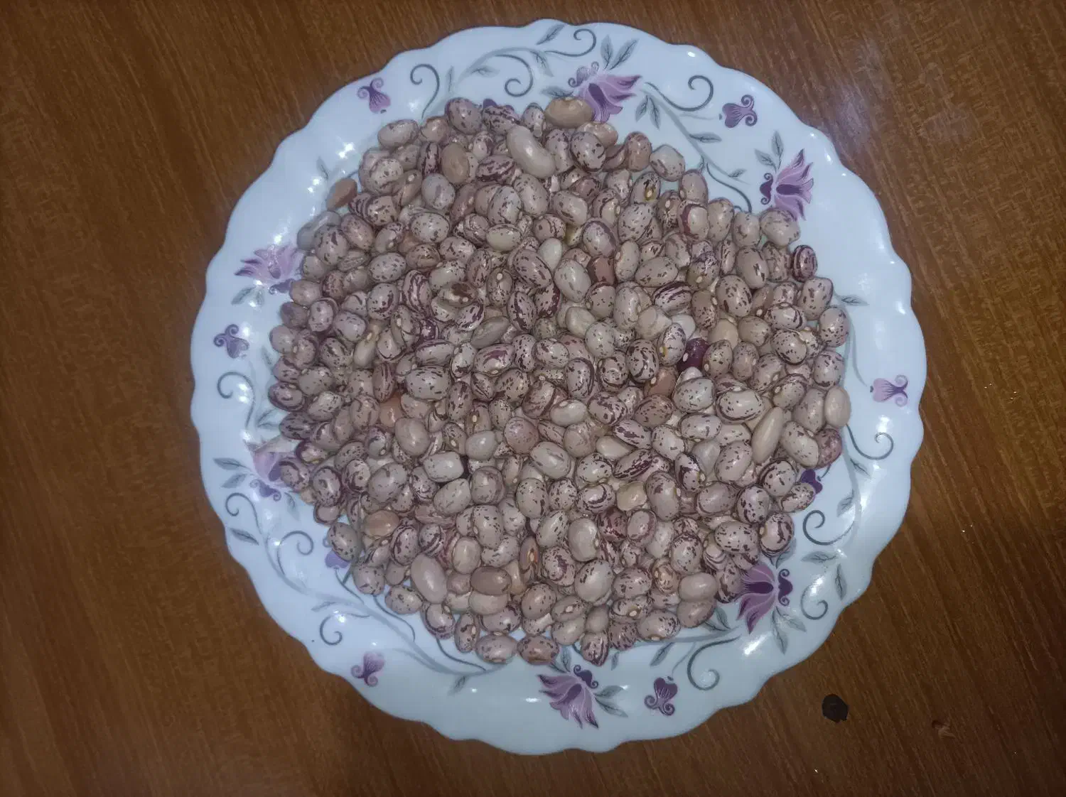 لوبیا چیتی درجه یک امسال|خوردنی و آشامیدنی|تهران, دولاب|دیوار