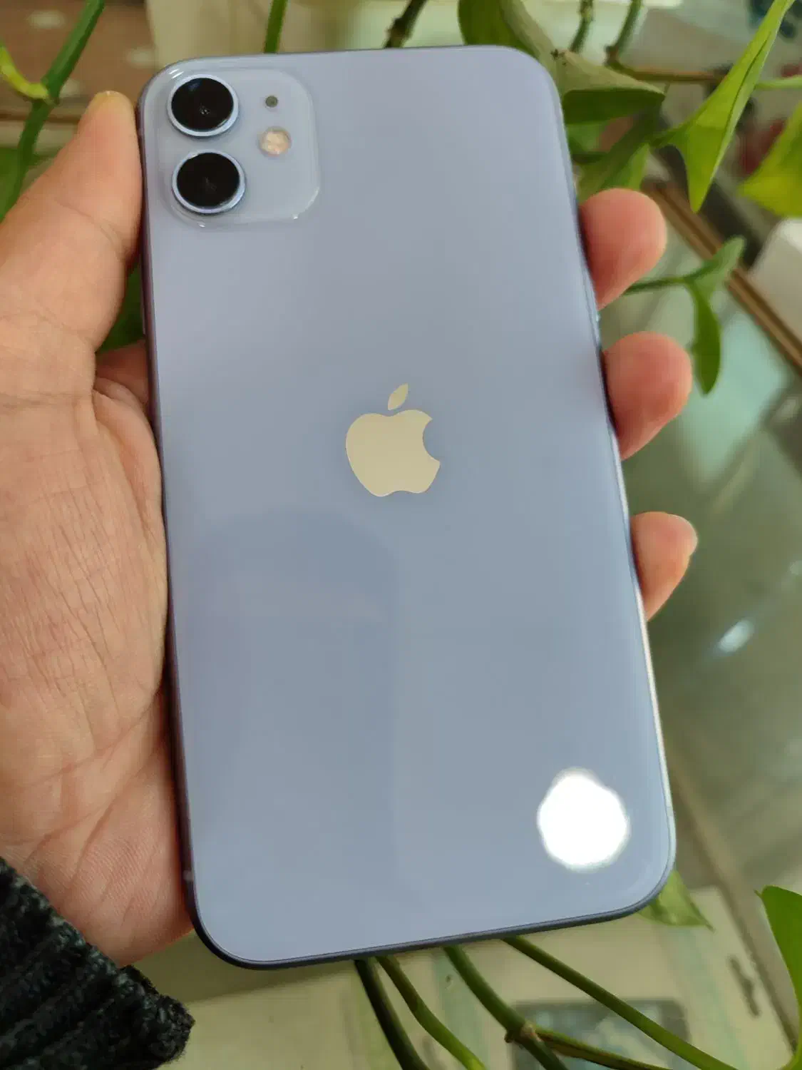 iphon 11|موبایل|جوانرود, |دیوار