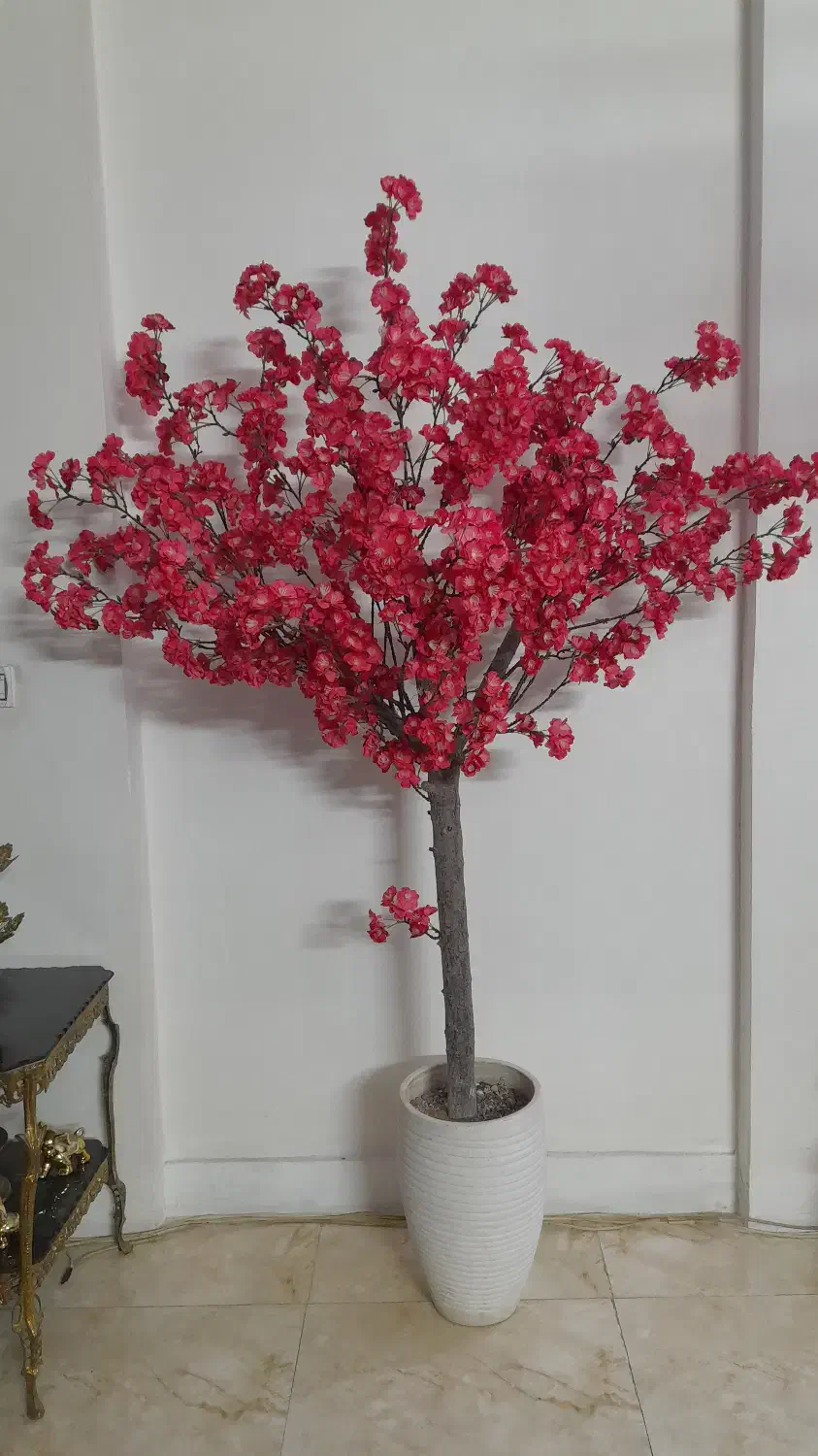 درخچه شکوفه|گل و گیاه طبیعی|کهریزک, |دیوار