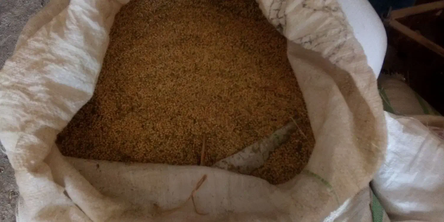 ارزن محلی|عمدهفروشی|رشتخوار, |دیوار