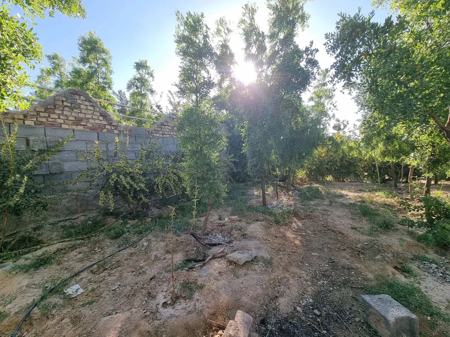 تصویر 6
