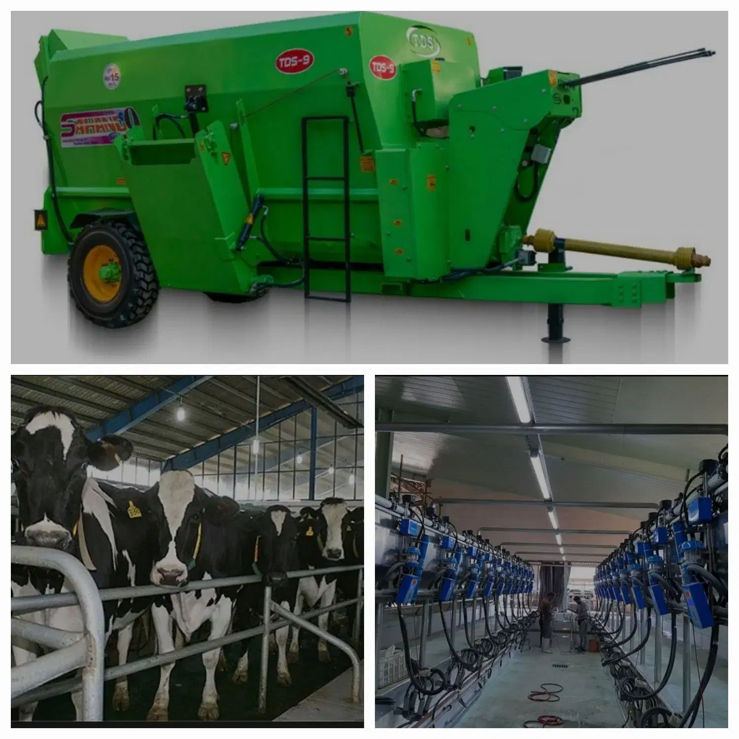 پیمانکاری تاسیسات گاودراری|خدمات پیشه و مهارت|ابهر, |دیوار