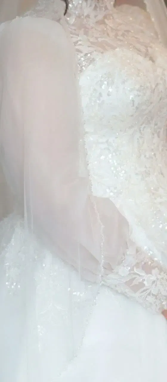 لباس عروس|لباس|ساری, |دیوار