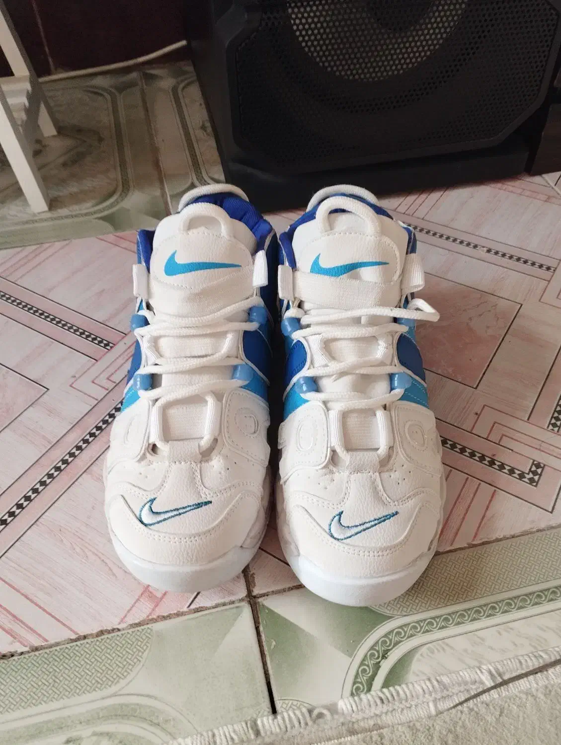 کتونی|کیف، کفش، کمربند|بروجرد, |دیوار