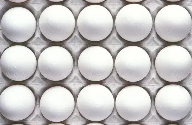 تخم مرغ عمده|عمدهفروشی|اسلامشهر, مطهری|دیوار