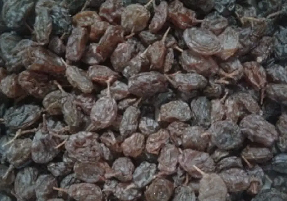 کشمش و سرکه خانگی، آلو بخارا|خوردنی و آشامیدنی|شاهین‌شهر, فردوسی|دیوار