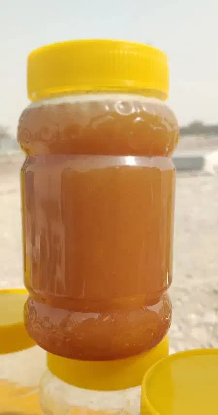 کنار فوق‌العاده، کاملآ طبیعی عسل به شرط آزمایش|خوردنی و آشامیدنی|شیراز, فضل‌آباد|دیوار
