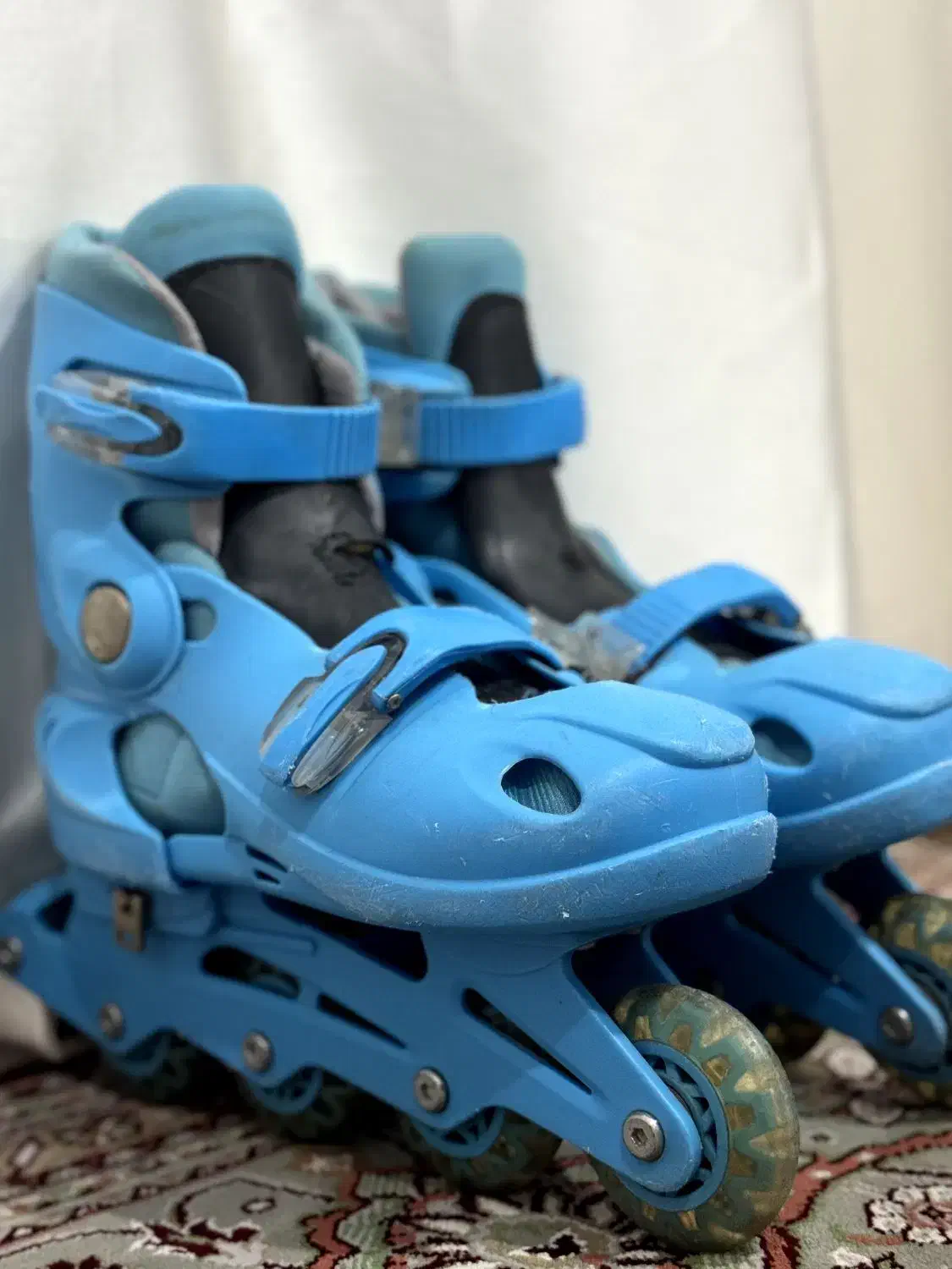 اسکیت|دوچرخه، اسکیت، اسکوتر|پاوه, |دیوار