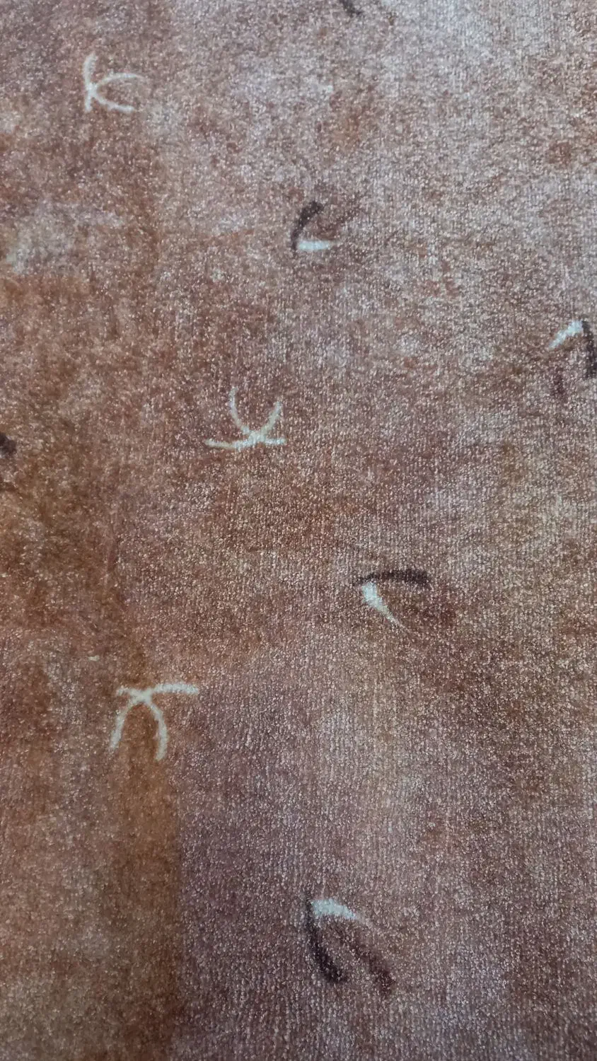 پالازموکت ۱۲متری پرزبلند|موکت|ورامین, ورامین|دیوار