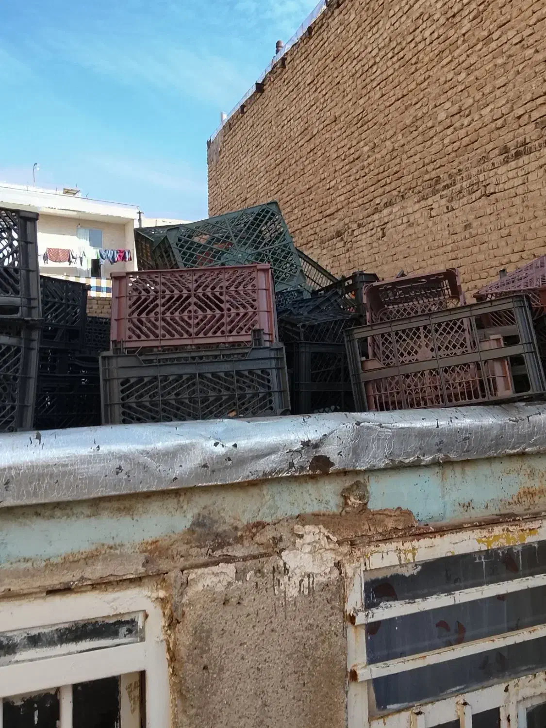 سبد میوه|ظروف نگهدارنده، پلاستیکی، یک‌بارمصرف|ملایر, |دیوار