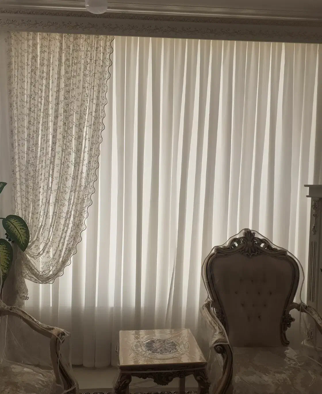 راف|پرده، رانر، رومیزی|رفسنجان, |دیوار