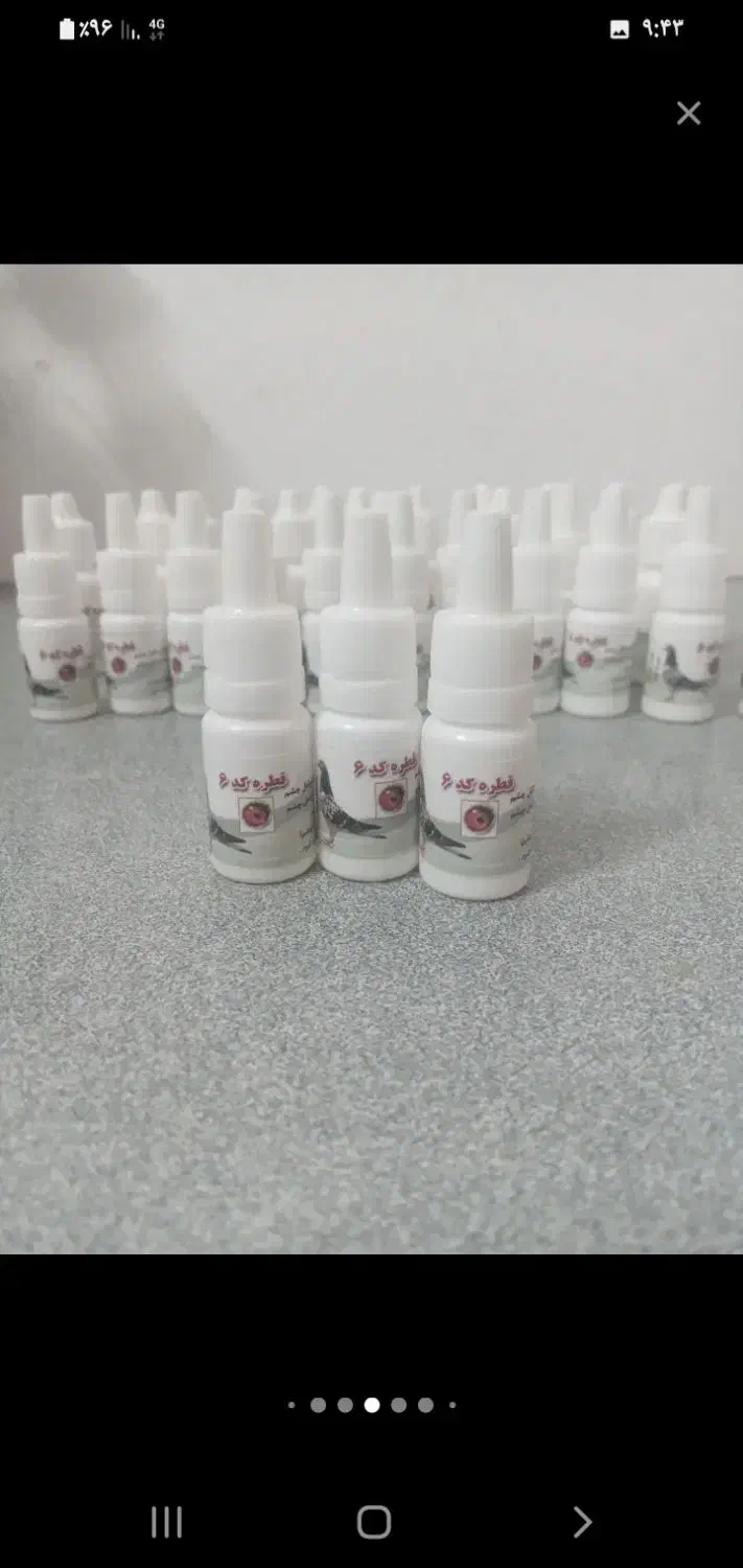 کد 6کد7کد2 کبوتر|لوازم جانبی حیوانات|دشتابی, |دیوار