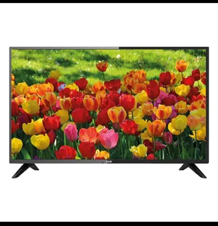 تلوزیون 32 اینچ سام ااکترونیک|تلویزیون و پروژکتور|شاهرود, |دیوار