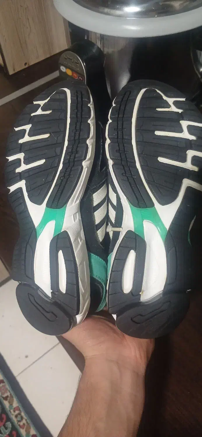 اکومنت سایز ۳۷|کیف، کفش، کمربند|شاهدشهر, |دیوار