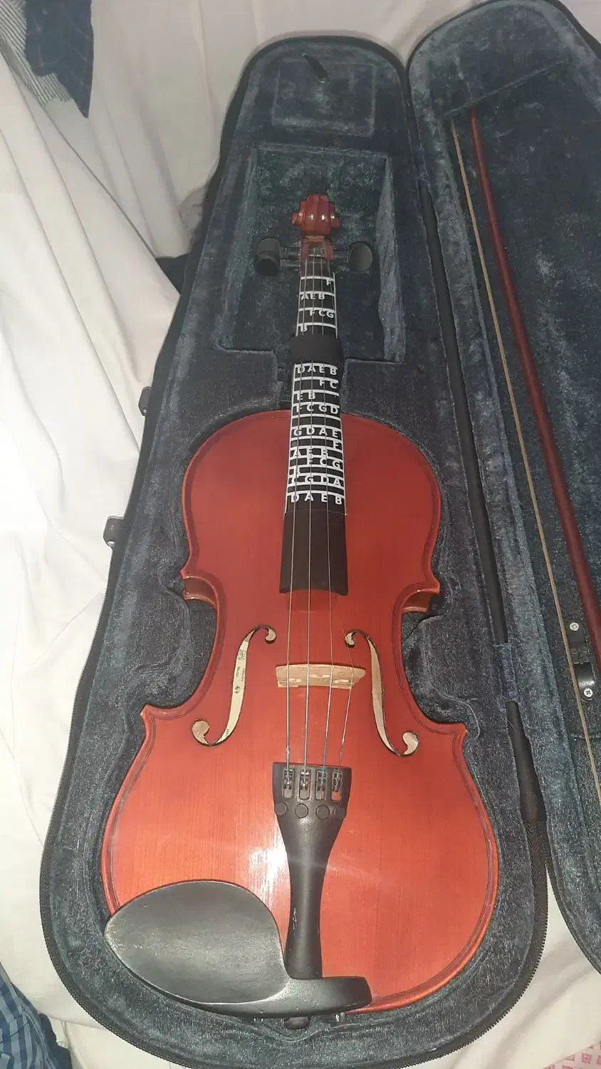 ویلن نو برای آموزش و هنر|ویولن|کرمانشاه, |دیوار