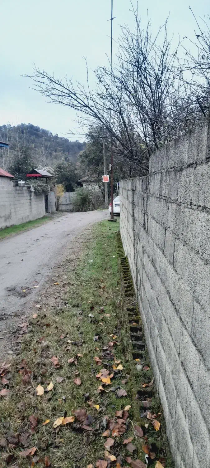 زمین مسکونی ۲۹۰ متر سند تک برگ ماسوله|فروش زمین و ملک کلنگی|فومن, |دیوار