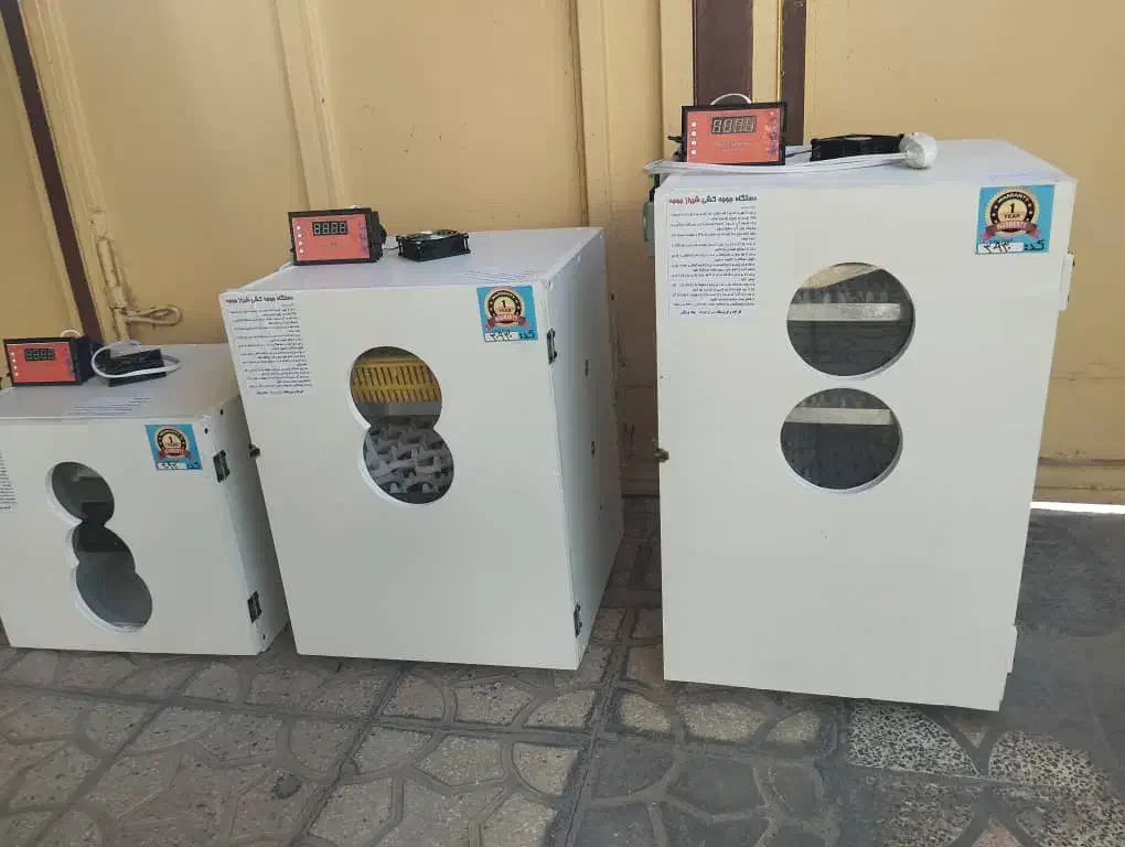 سازنده دستگاه جوجه کشی ارسالی از شیراز|لوازم جانبی حیوانات|مشهد, چهارباغ|دیوار