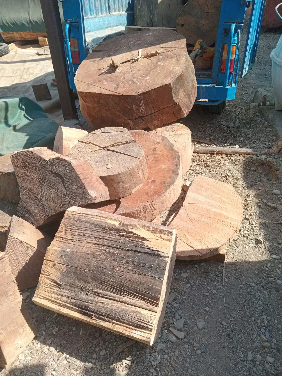 خریدار انواع چوب درختان میوه و|خدمات باغبانی و درختکاری|تهران, اکباتان|دیوار