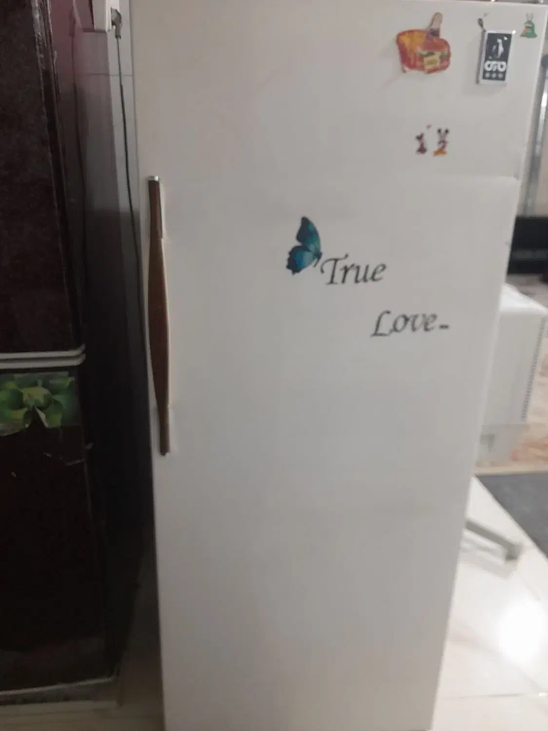 فریزر|یخچال و فریزر|فریدونشهر, |دیوار