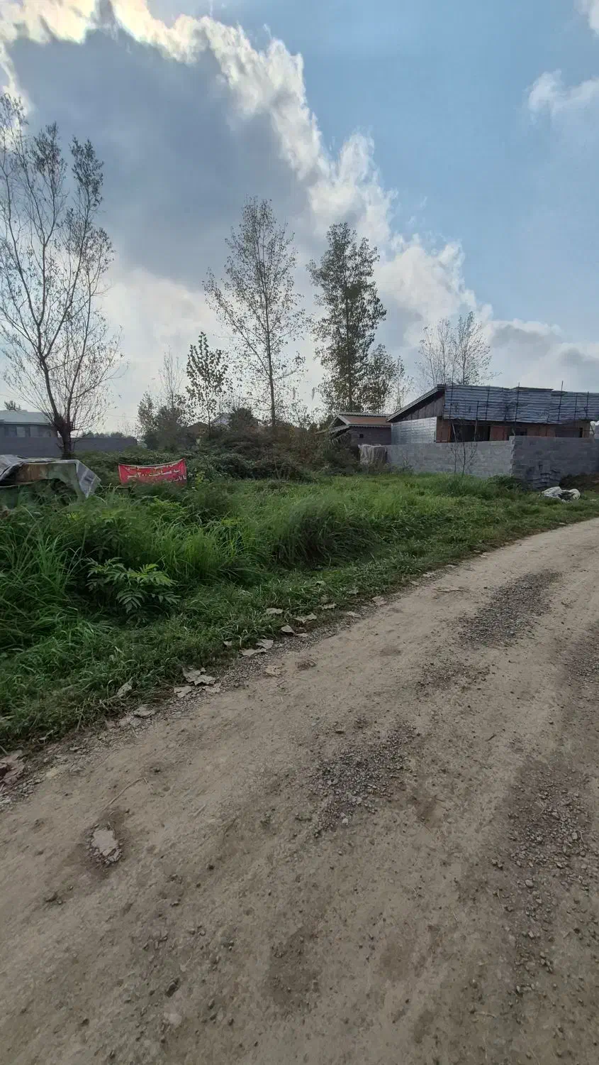 زمین جنگلی با نامه بنیاد مسکن|فروش زمین و ملک کلنگی|رشت, بازار|دیوار