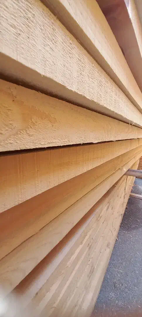 چوب نراد یولکاوساسنا روسی ابعاد واقعی لمبه پلکوبی|مصالح و تجهیزات ساختمان|رشت, شهرک صبا|دیوار