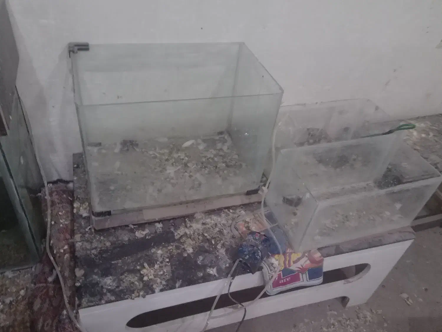 اکو‌ا‌ریوم|ماهی|تویسرکان, |دیوار