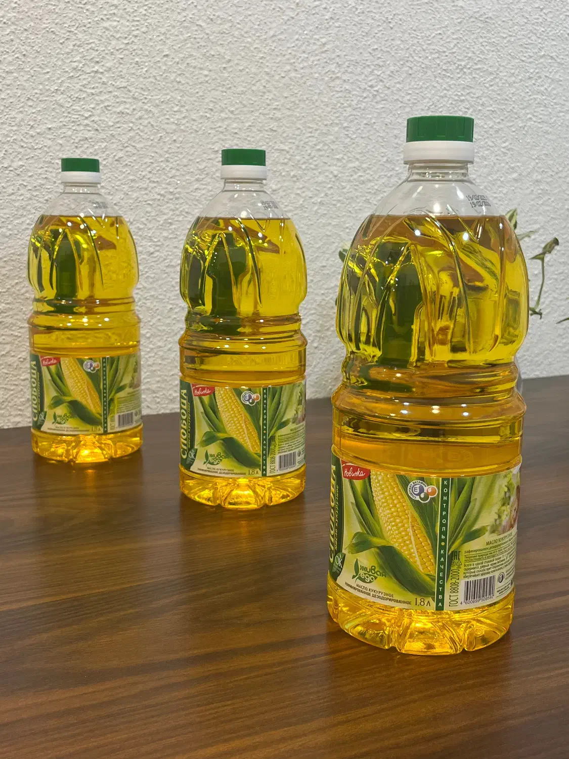 روغن ذرت ارگانیک(وارداتی)اسلوبودا|خوردنی و آشامیدنی|رشت, کاکتوس|دیوار