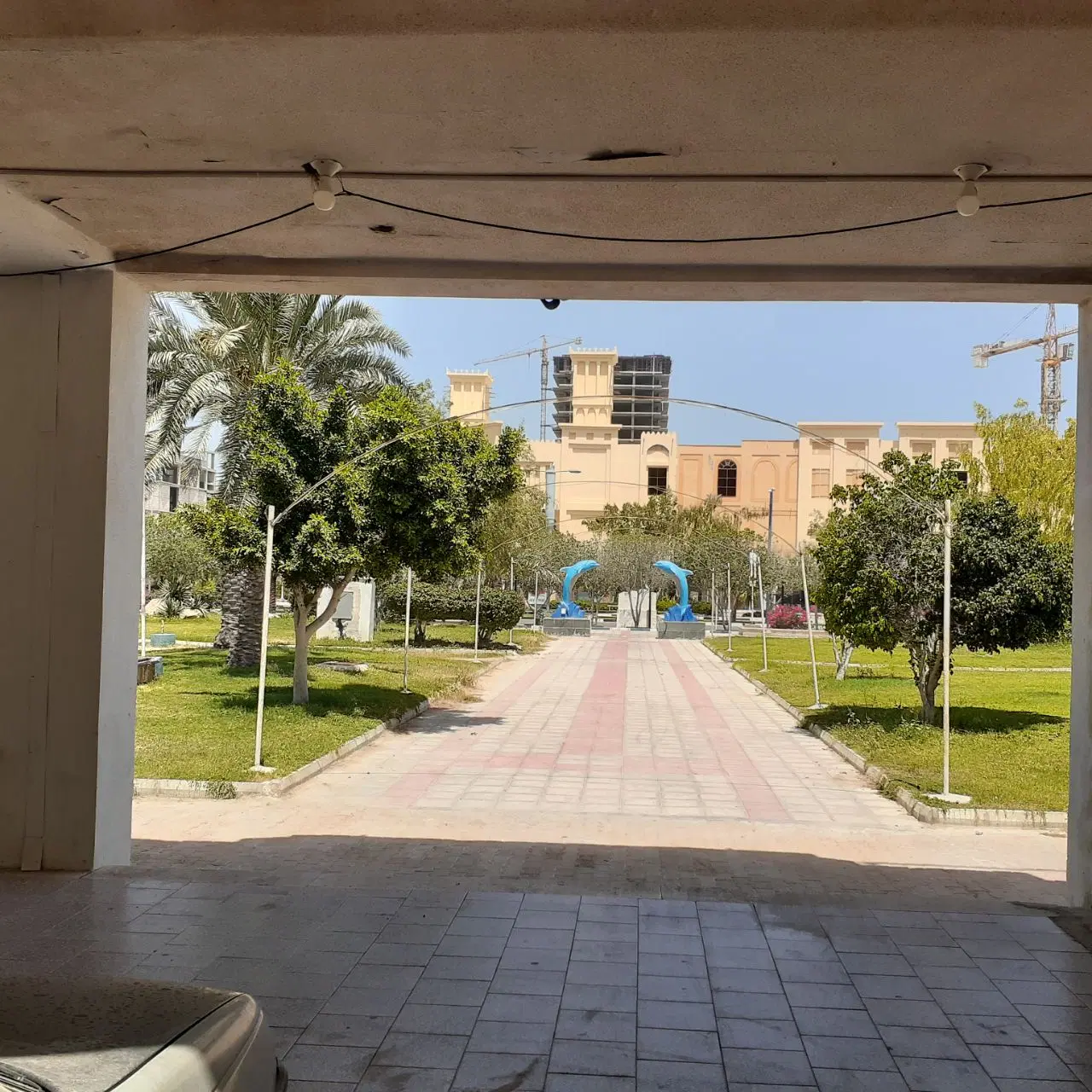 تصویر 5