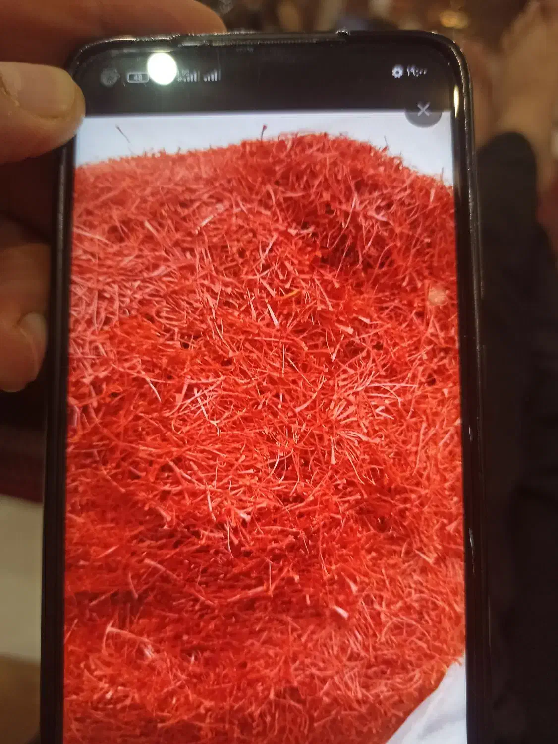 خرید زعفران|خوردنی و آشامیدنی|مشهد, مقدم|دیوار