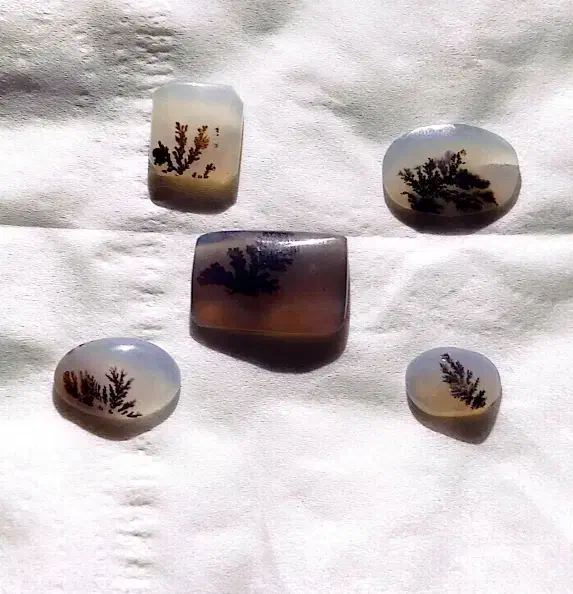 نگین شجر و فیروزه زیبا|جواهرات|پاکدشت, پاکدشت (مامازند)|دیوار