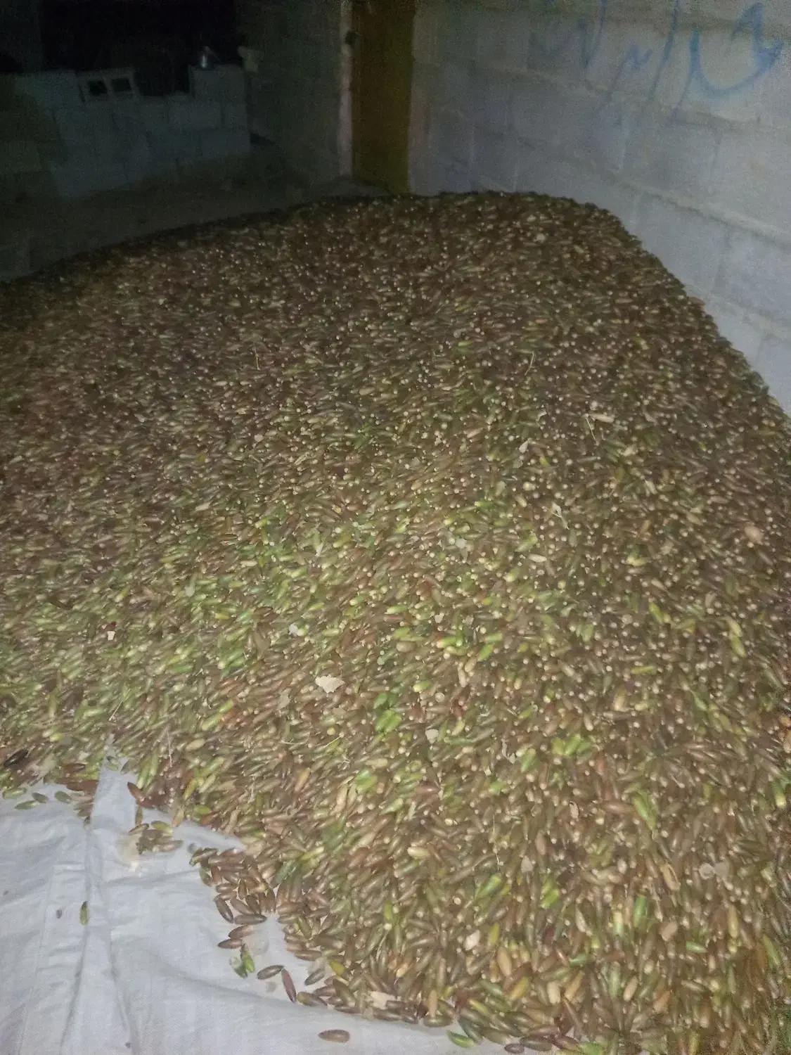 بلوط|عمده‌فروشی|کنار تخته و کمار, |دیوار