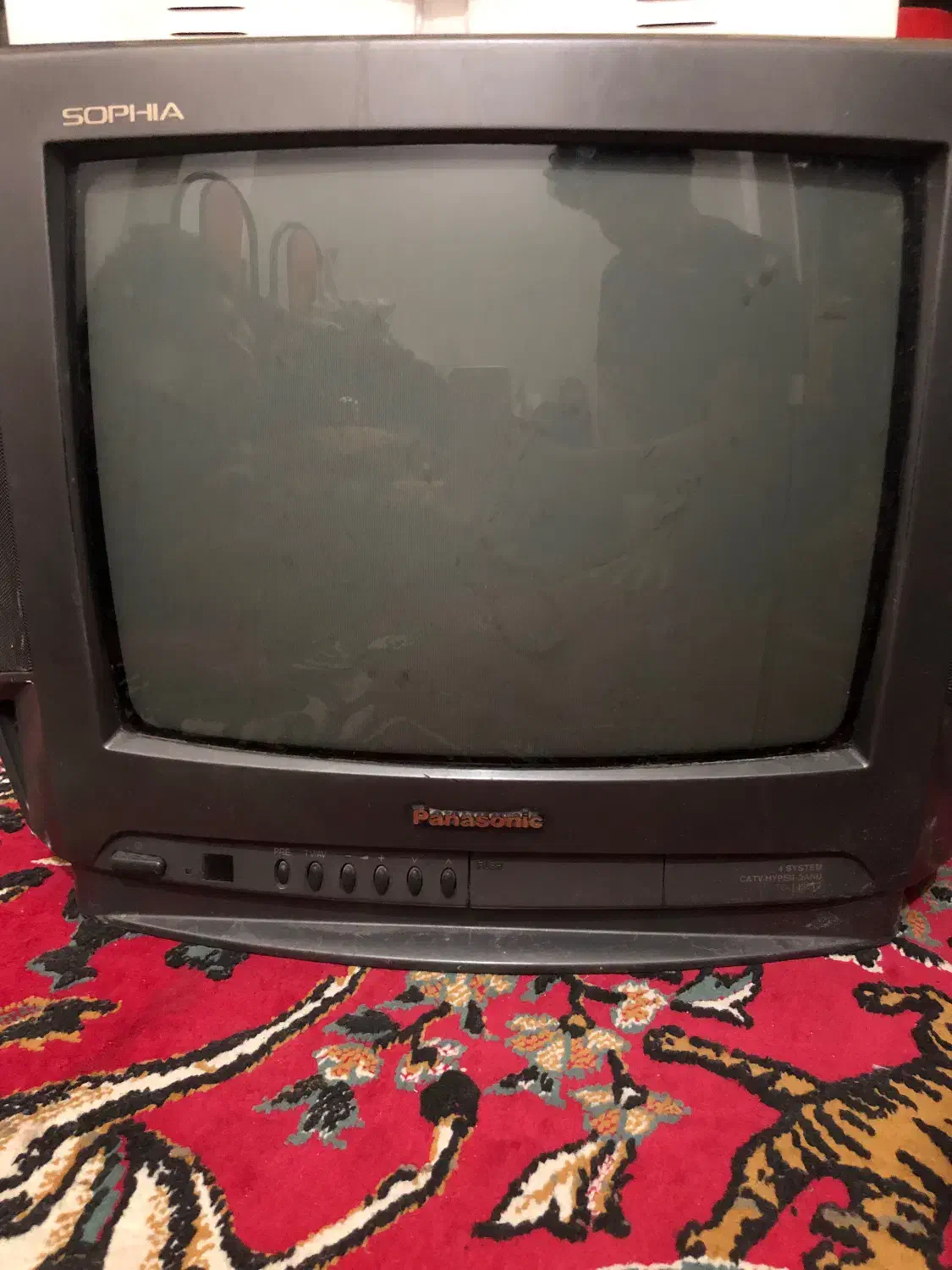 تلوزیون پاناسونیک|تلویزیون و پروژکتور|شهرکرد, |دیوار