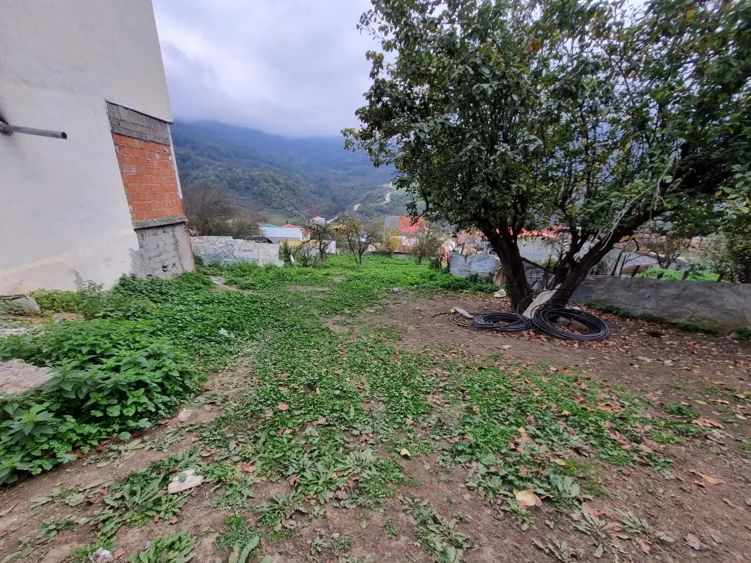 زمین بافت مسکونی ۱۴۵متری ییلاقی چلاو|فروش زمین و ملک کلنگی|امامزاده عبدالله, |دیوار