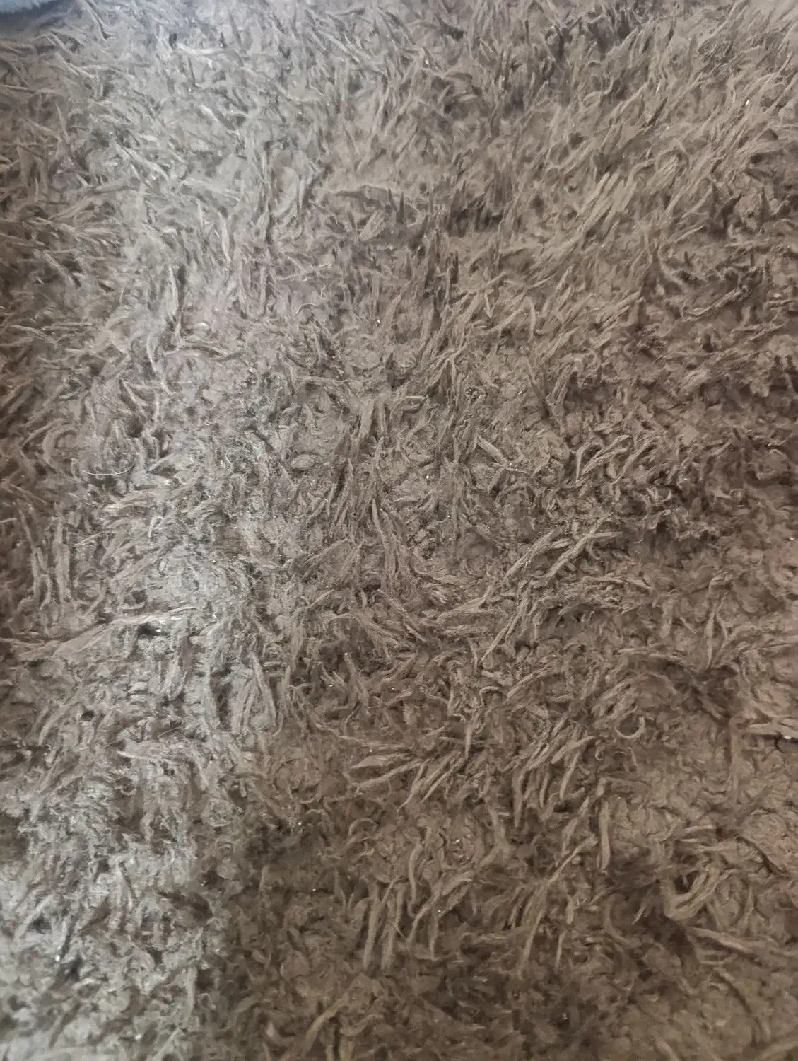 فرش|فرش|شیراز, شهرک فرهنگیان|دیوار