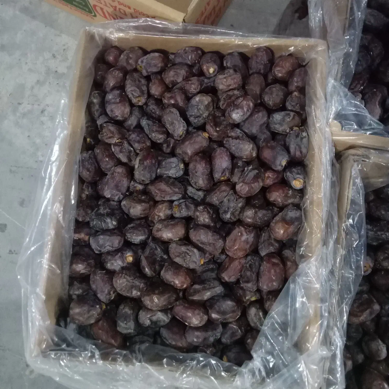 خرما کلوته|خوردنی و آشامیدنی|عنبرآباد, |دیوار