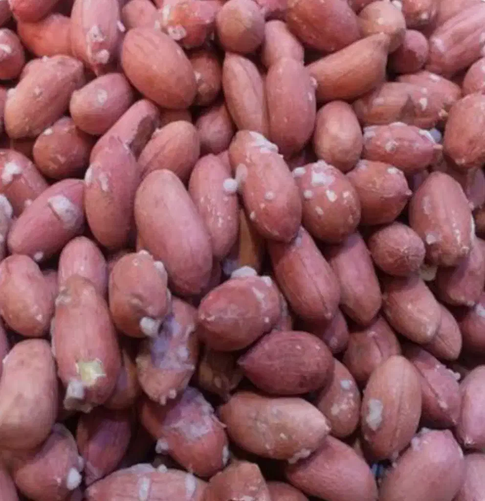 بادام زمینی برشته درجه یک|خوردنی و آشامیدنی|پارسآباد, |دیوار