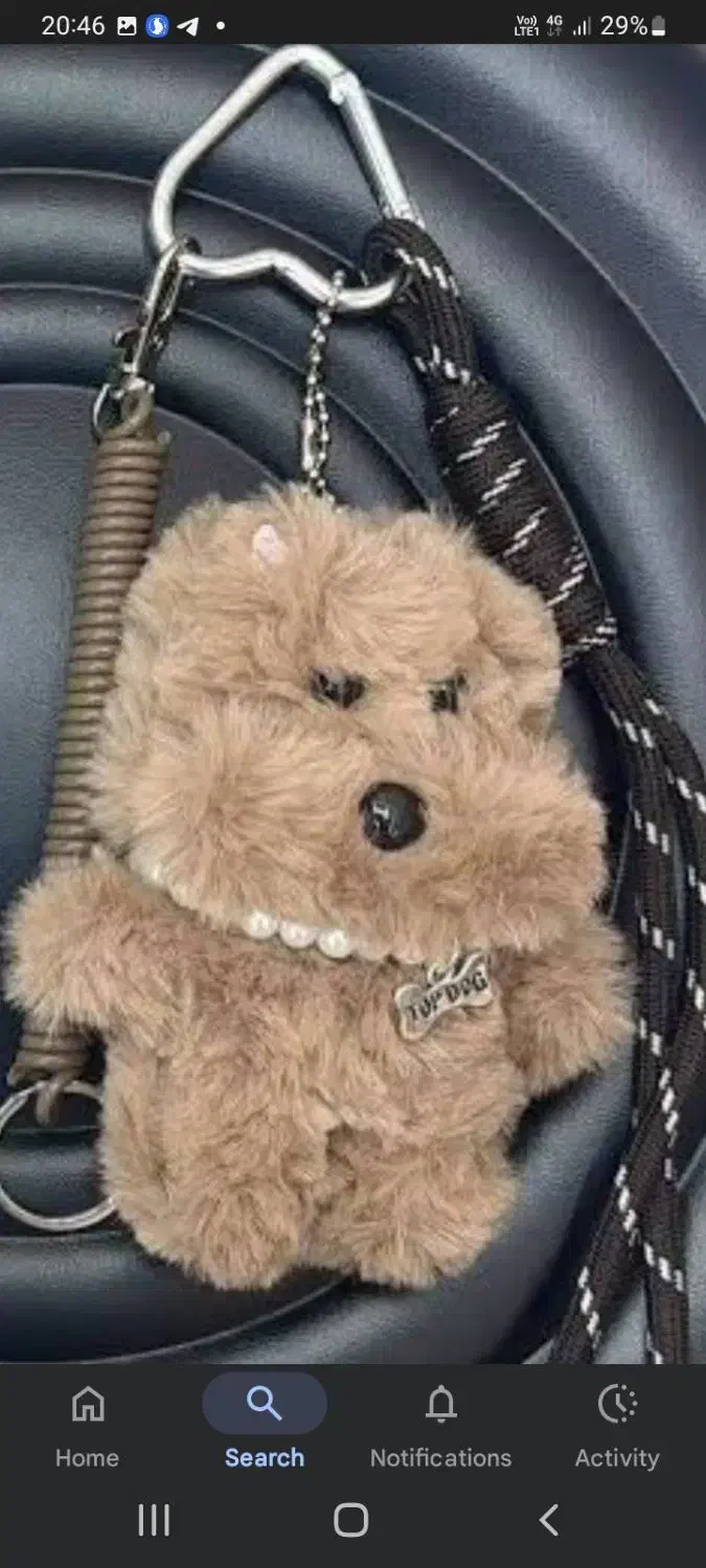 چارم بگ|زیورآلات و اکسسوری|مشهد, شهرک ابوذر|دیوار