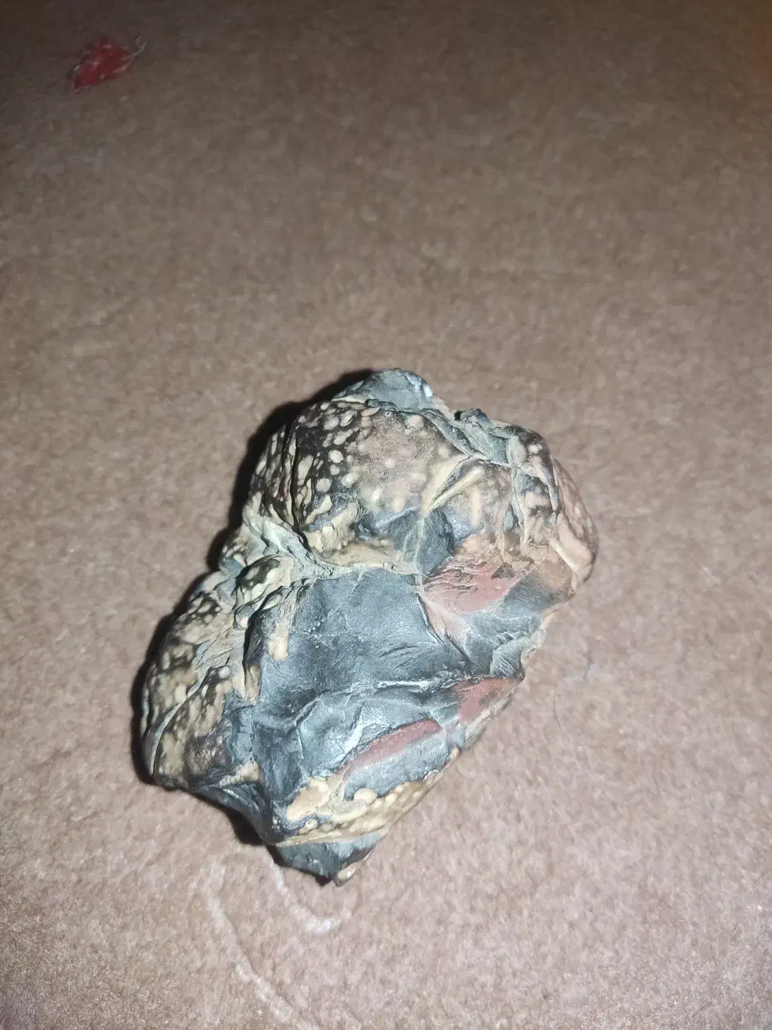 سنگ|جواهرات|خان ببین, |دیوار