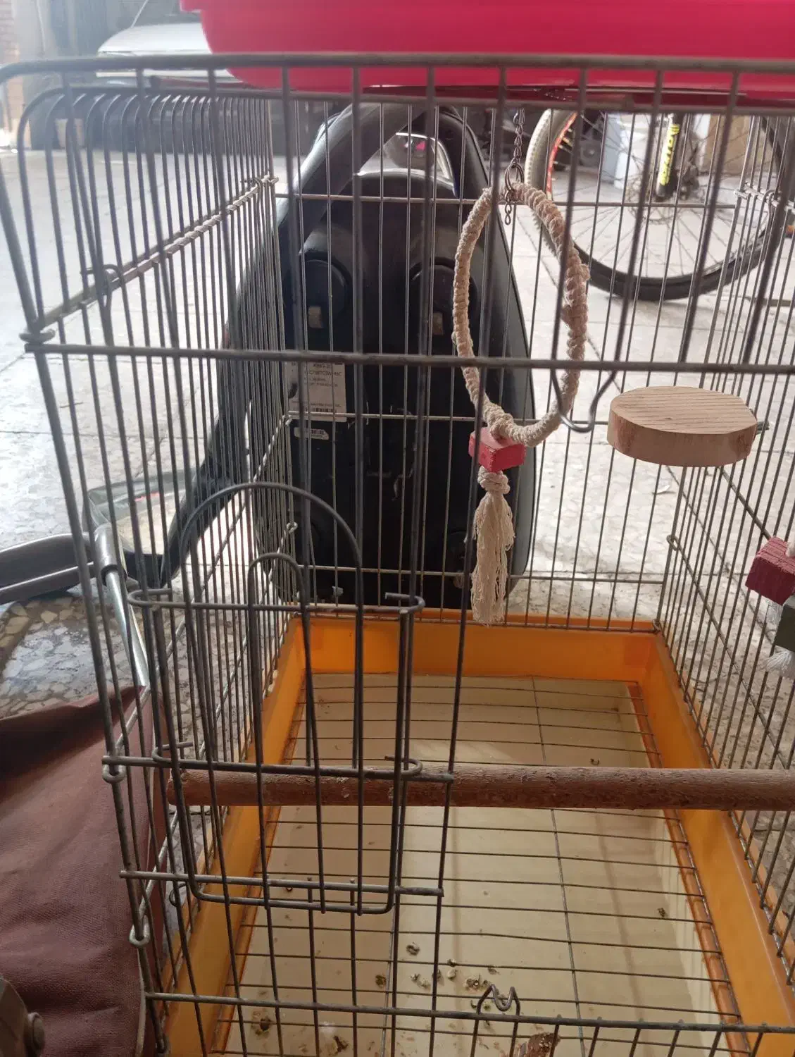 قفس پرنده|لوازم جانبی حیوانات|ری, علایین|دیوار